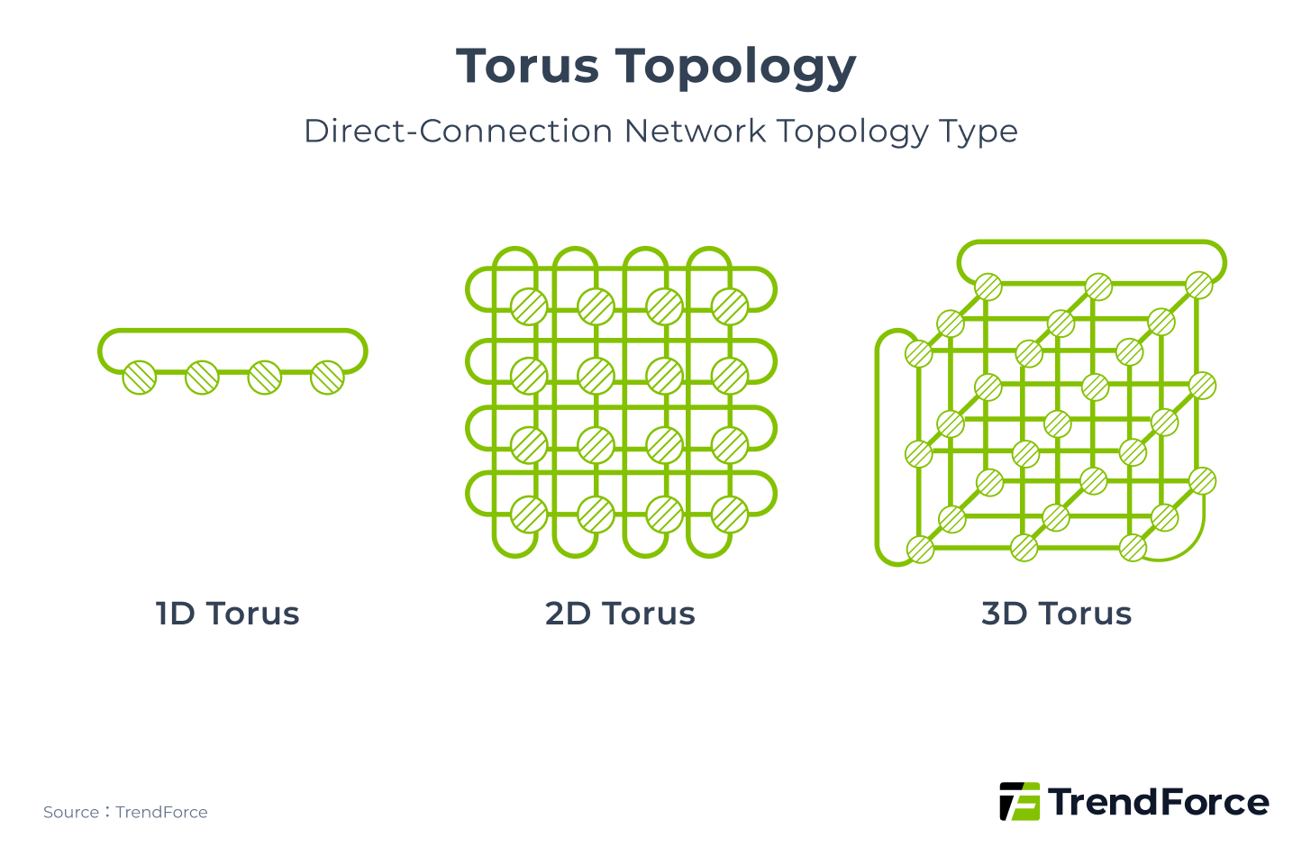 Torus Topology